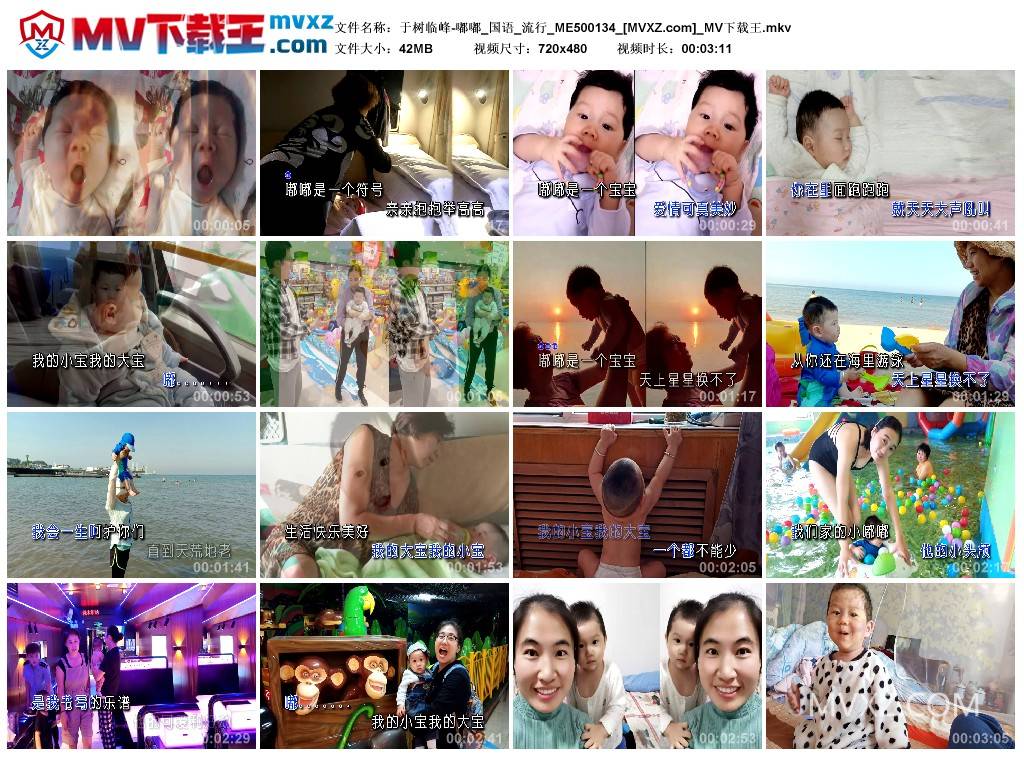 于树临峰-嘟嘟_国语_流行_ME500134